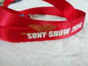 day deo the sony show (1)